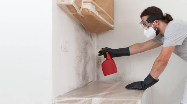 Professional Mold Remediation technician working in Curwensville, PA